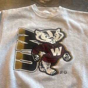 Vintage Wisconsin Badgers Sweatshirt RARE Crewneck Gray Varsity size Large